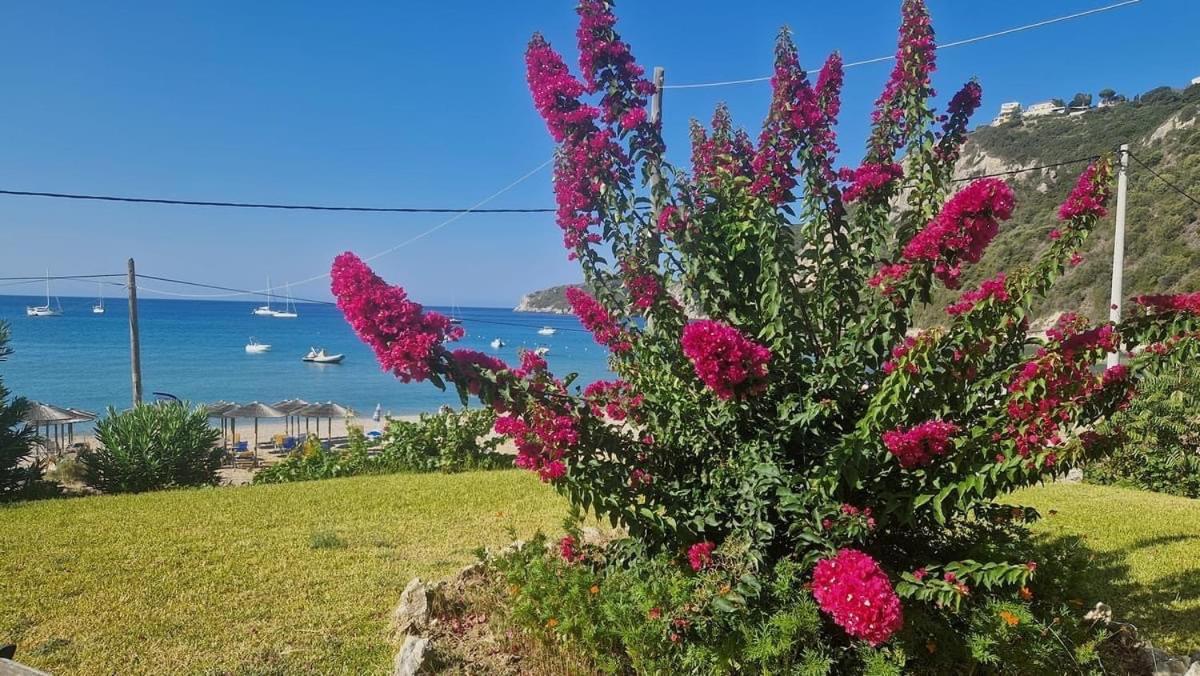 San George Cove Afión